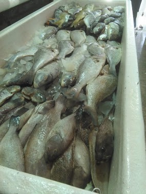 Fish Market, Author: Mohsen Pacهن