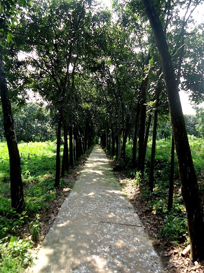 Photos of Matuail Graveyards , Dhaka