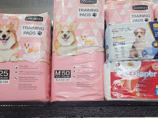 Training Pads & Diapers Available