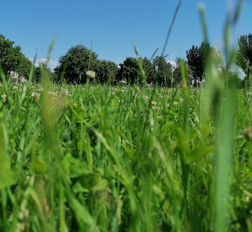 Area cani Ugnano - Italy