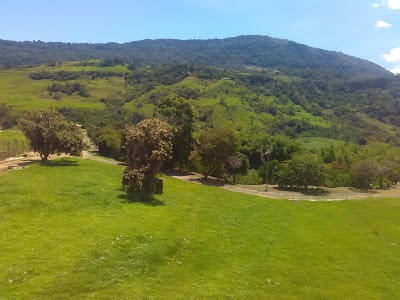 Photos of Restaurante Carbonera