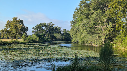 Spring Lake Field Complex - Visual