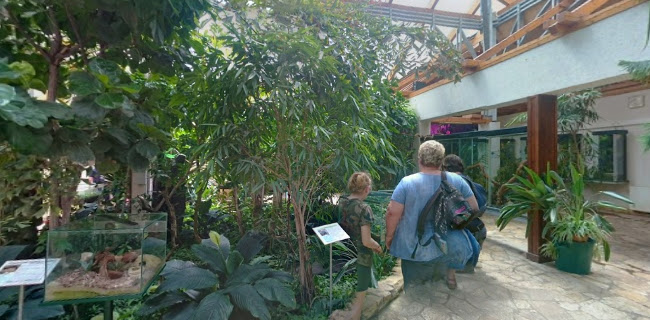 http://www.zoodebrecen.hu/