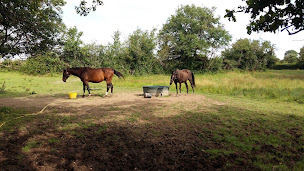 Photo n°13 de Le Morvan de Serge à Saint-Brancher (Chambre d'hôtes)