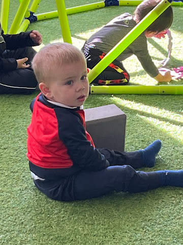 the treehouse 🌳 by null