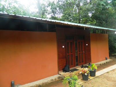 Photos of Birds Paradise Hotel