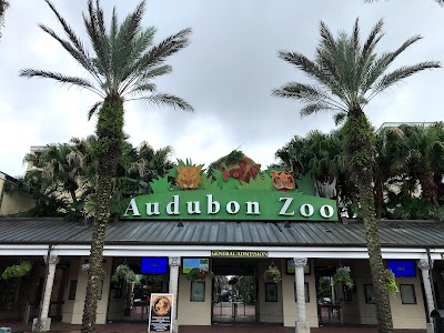 Audubon Zoo - Bus Stop