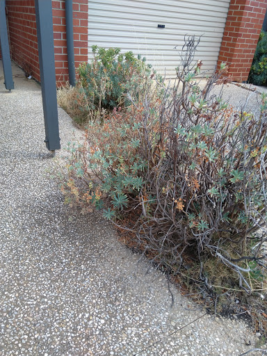 Playford Garden Care - Thumbnail