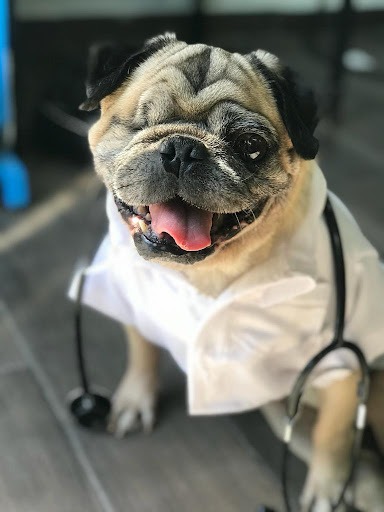 Veterinaria Zertuche
