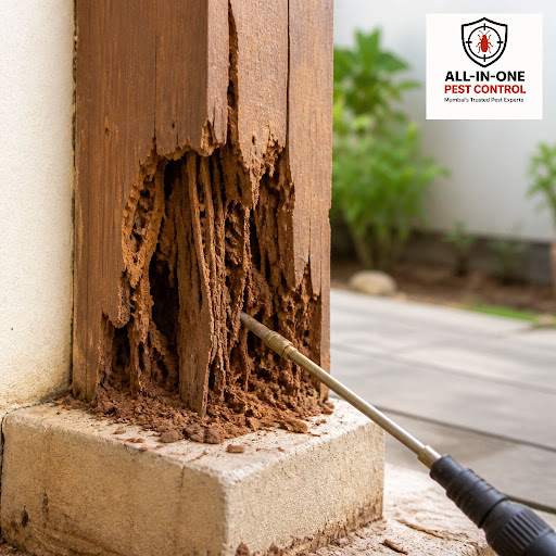 Protect your home or business from costly termite damage with an Annual Maintenance Contract from… post image
