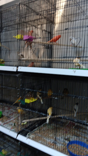 Maryland Exotic Birds Inc