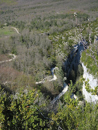 Photo n°12 de Florence HUTTER RETY - La Ferme du Pescher à Omblèze (Ferme bio)