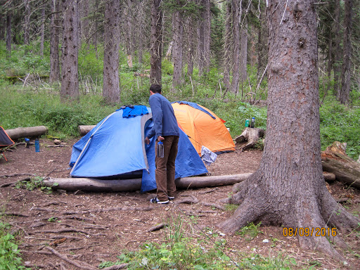 Mokowanis Junction Campground - Thumbnail