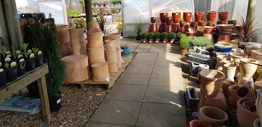 Richard's Plants - Visual