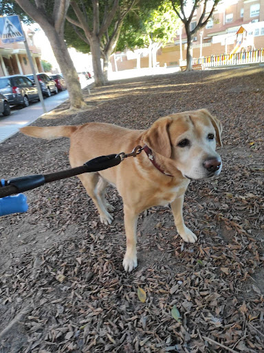 Hotel para perros Posada Patita
