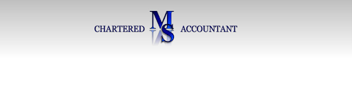 Mark Schonewille Chartered Accountant - Thumbnail