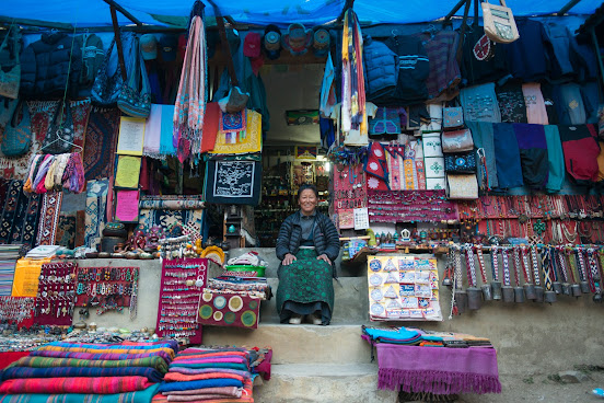 Snow Cat Travel by null