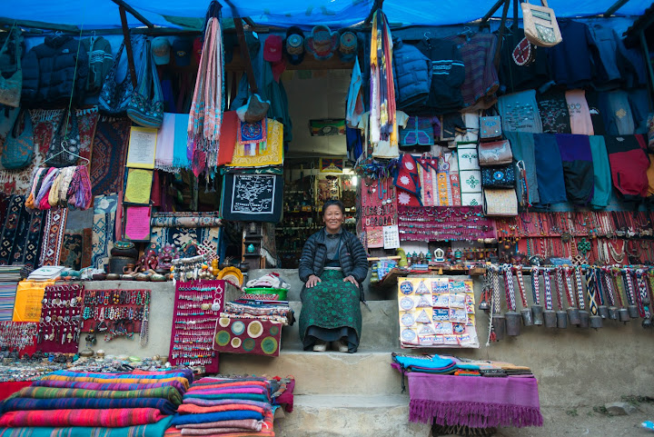 Snow Cat Travel by null