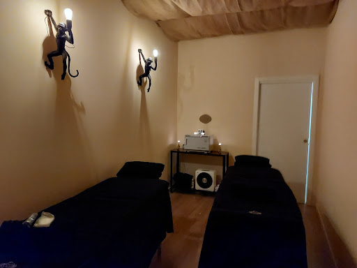 Monkey Wellness - Visual
