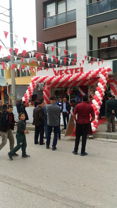 Vestel Altınova Ana Bayi