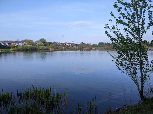 Gorsedd Circle - Thumbnail