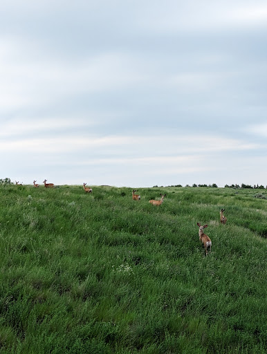 Duck Creek Recreation Area - Thumbnail