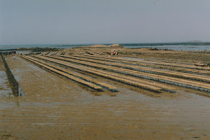 Photo n°22 de JOSSO Ostréiculteur. Magasin et distributeur 24h/7j à Pen-Bé; Halles de Guérande à Assérac (Poissonnerie)