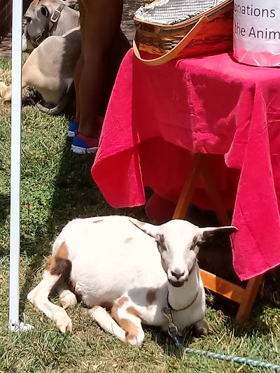 Heavenly Heart Farm & Mini Petting Zoo