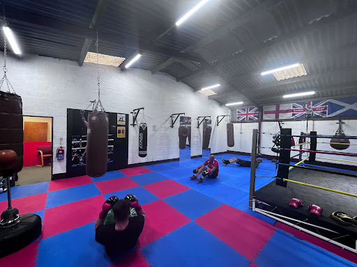 High Cross Amateur Boxing Cub - Thumbnail