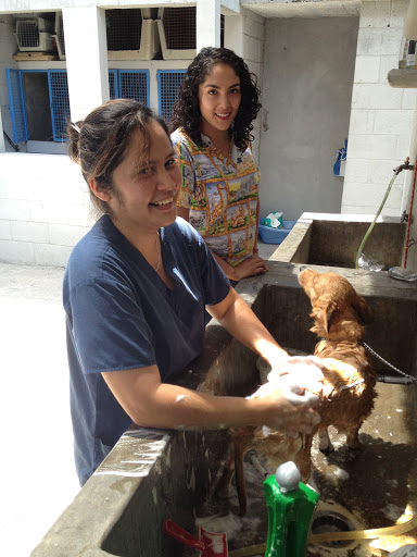 Veterinaria del Pacífico