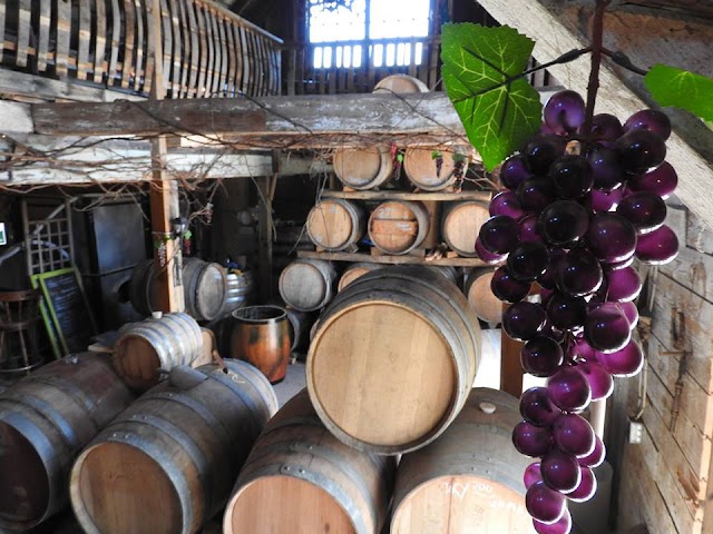 Black Prince Winery & Canadian Cellars - Century Barn & Barrel House with Live Demonstrations