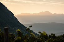 Domaine Ludovic Archer à Arbin