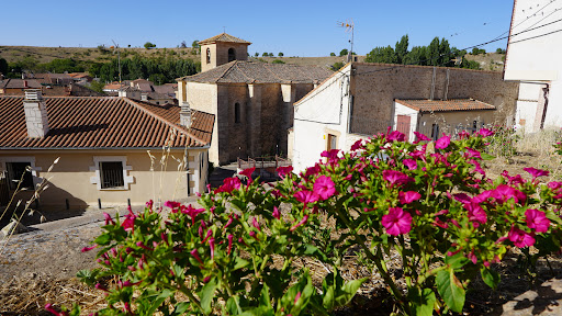 Valtiendas - DOP - Vino