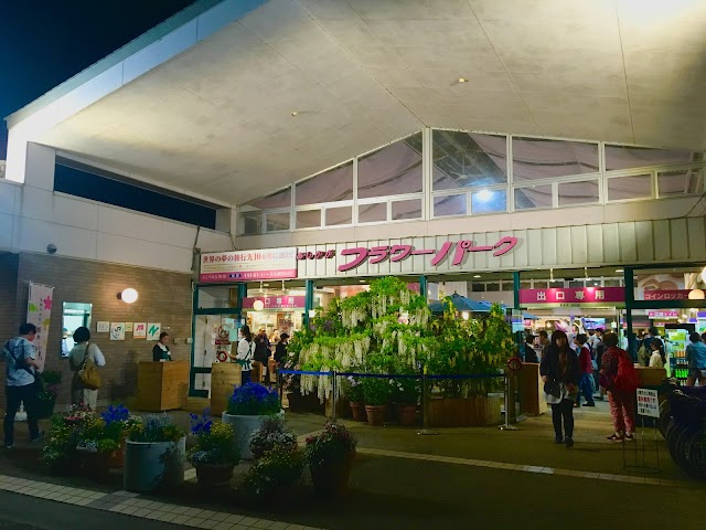 Ashikaga Flower Park