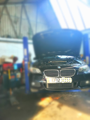 Dolphin Services - Visual