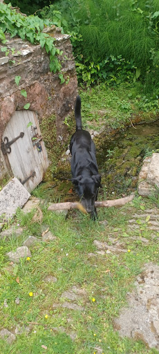 St Agnes' Well - Thumbnail