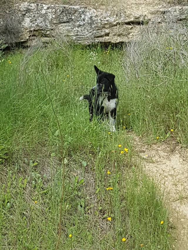 Parc de l'Ancienne Poudrerie de Saint-Chamas Miramas