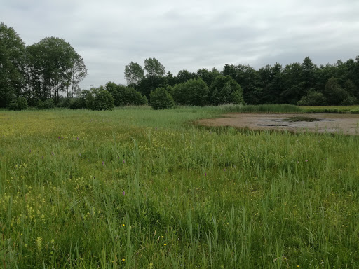 Losloopveld - Visual