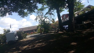 Photos of Tanoa Skylodge