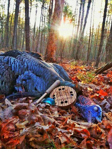 Killer Outfitting - Visual