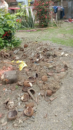 Puerto Hermoza - Restaurante