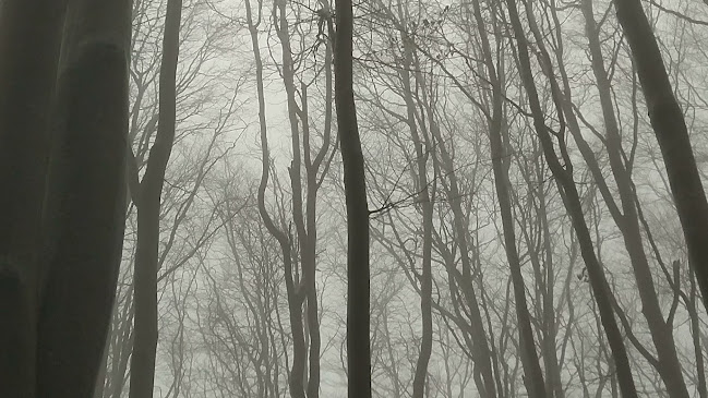 Георги Георгиев - Фотограф