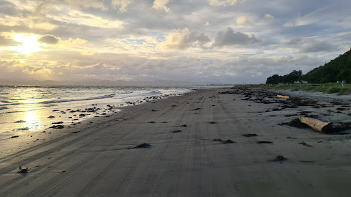 Te Papa Puninga Camping Area - Thumbnail