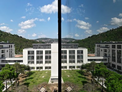 Turkish-German University