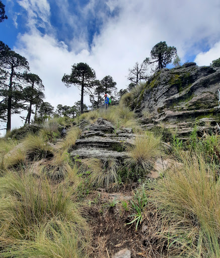 Izta-Popo-zoquiapan Ecological Park
