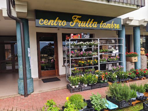 Frutti Flora - Visual