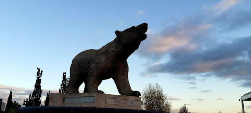 Polar Bear Memorial