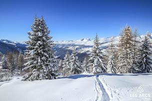 Photo n°18 de Chalet Ourea à Bourg-Saint-Maurice (Chalet)