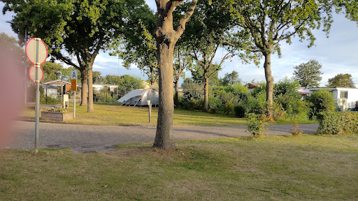 Camping Hoek van Holland - ONS.Recreatieoord - Thumbnail