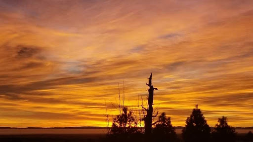 Bosch's Big Bear RV Park And Campground - Thumbnail